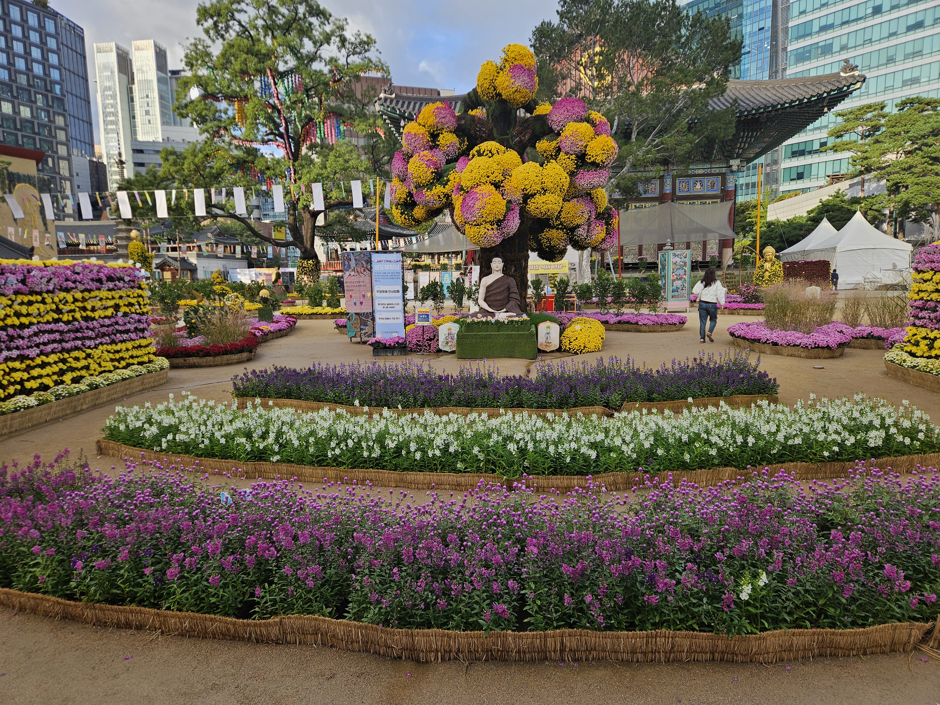 Galerie imagini Osstem Tour 2025